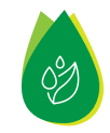 A green leaf with nutritional iv therapy.